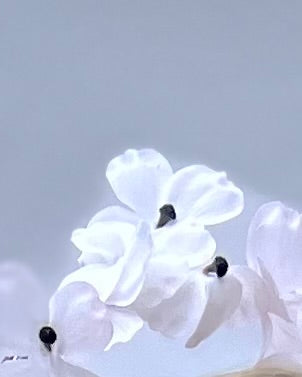 Floral halo