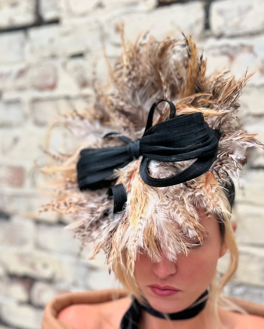 A Feathers up
