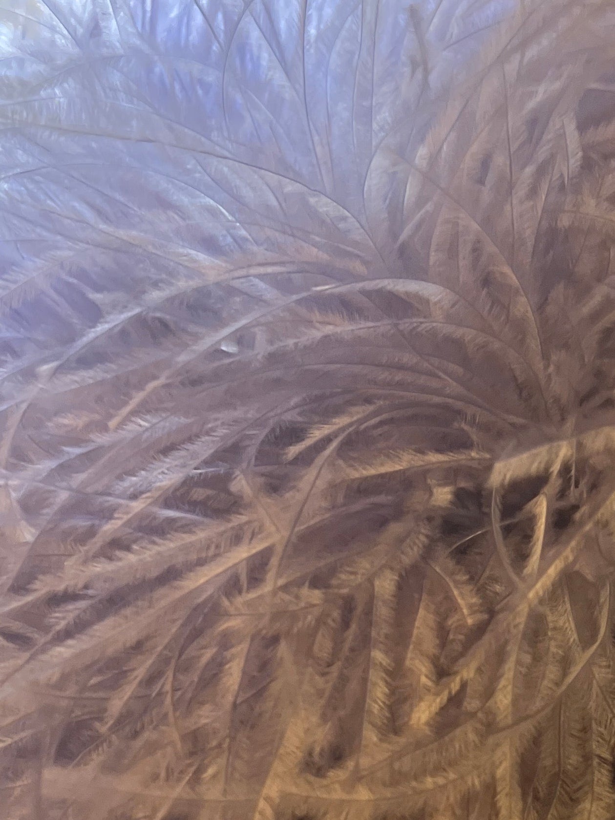 Selene — Lilac Ostrich Feather Royal Ascot Headpiece