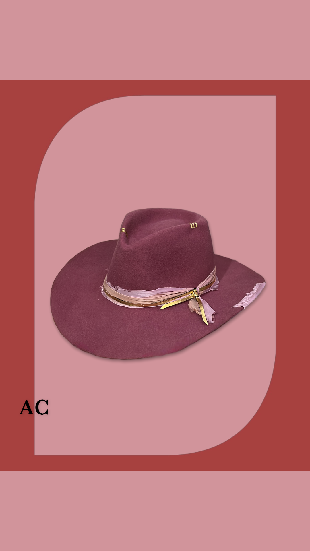 Fedora hat wild disc