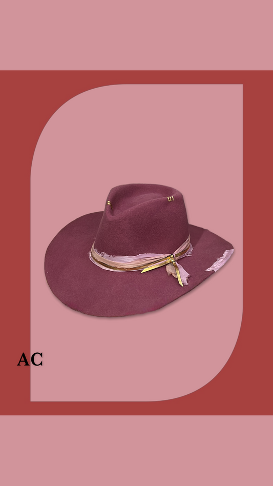 Fedora hat wild disc