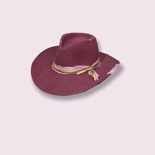 Fedora hat wild disc